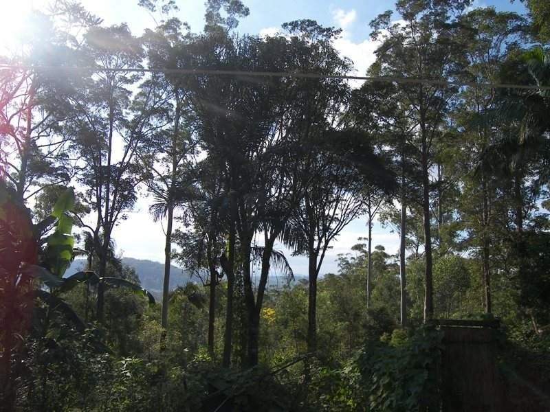Bellthorpe QLD 4514