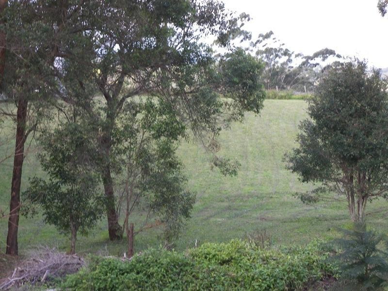 Witta QLD 4552