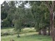 Witta QLD 4552