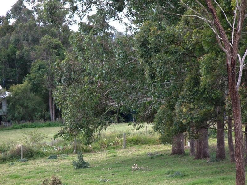 Witta QLD 4552
