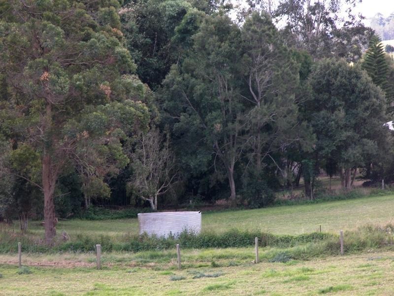 Witta QLD 4552
