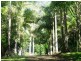 Maleny QLD 4552