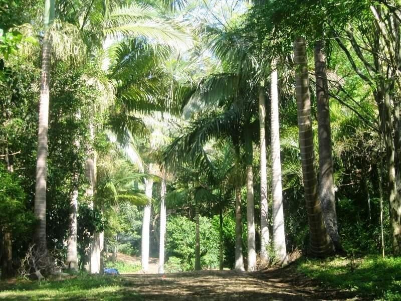 Maleny QLD 4552