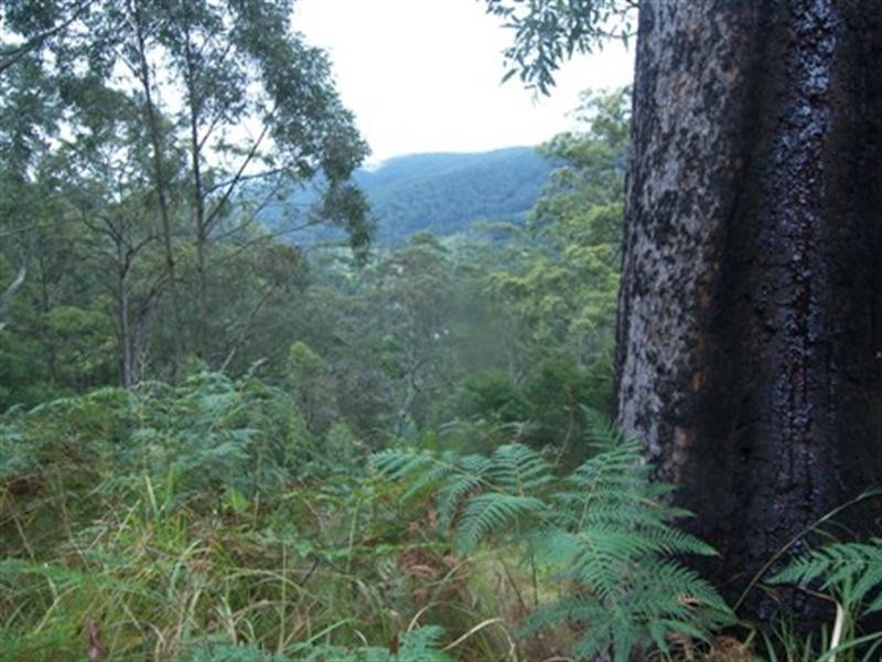 Lot 3 Doyle Road, Reesville QLD 4552