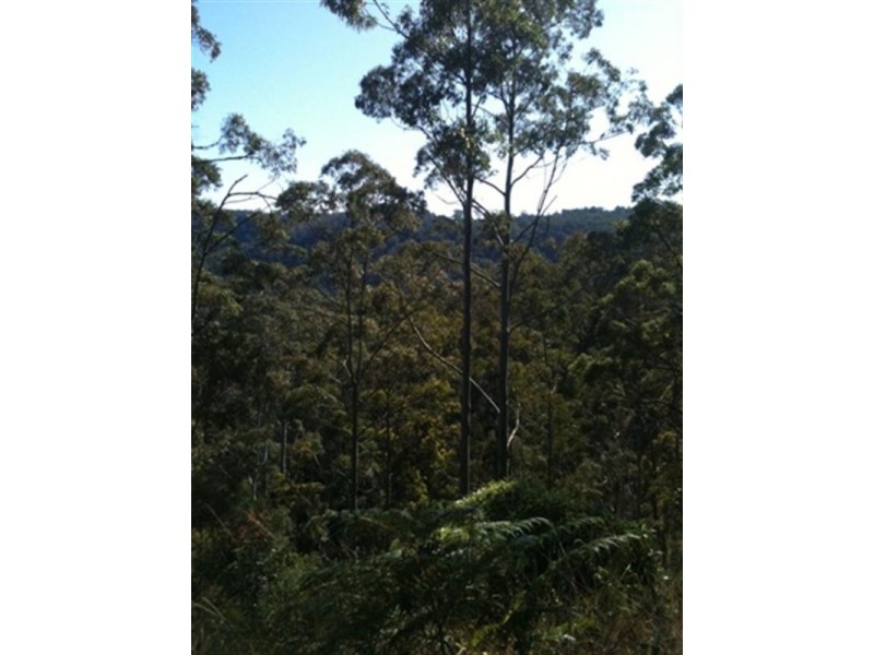 Lot 3 Doyle Road, Reesville QLD 4552