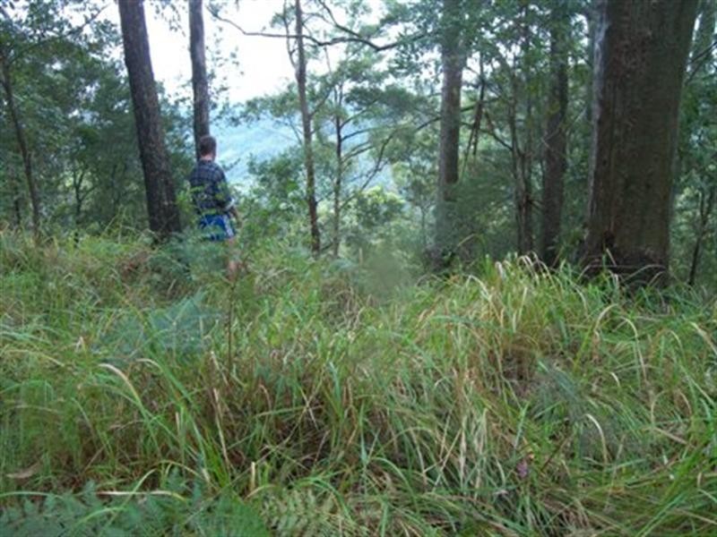 Lot 3 Doyle Road, Reesville QLD 4552