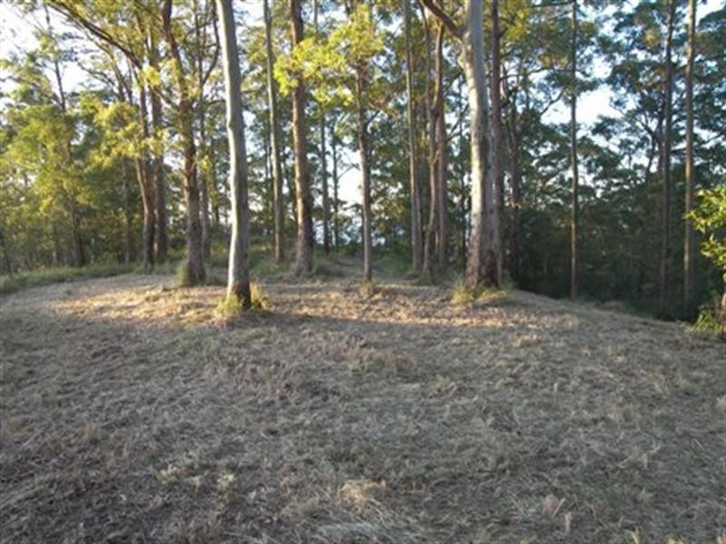 Lot 3 Doyle Road, Reesville QLD 4552