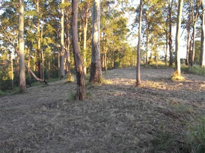 Lot 3 Doyle Road, Reesville QLD 4552