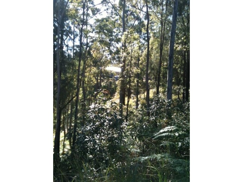 Lot 3 Doyle Road, Reesville QLD 4552