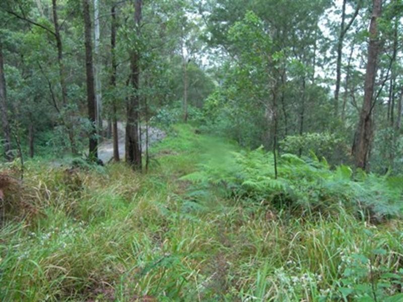 Lot 3 Doyle Road, Reesville QLD 4552
