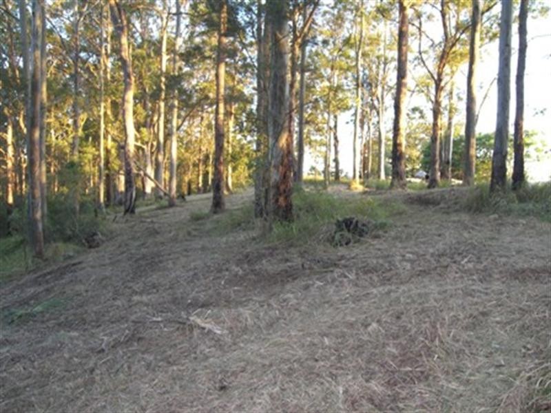Lot 3 Doyle Road, Reesville QLD 4552