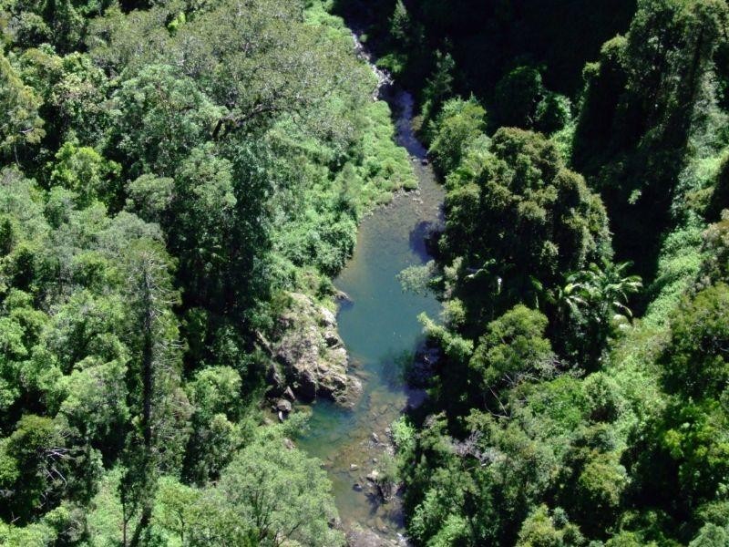 315 Grigor Road, Conondale QLD 4552