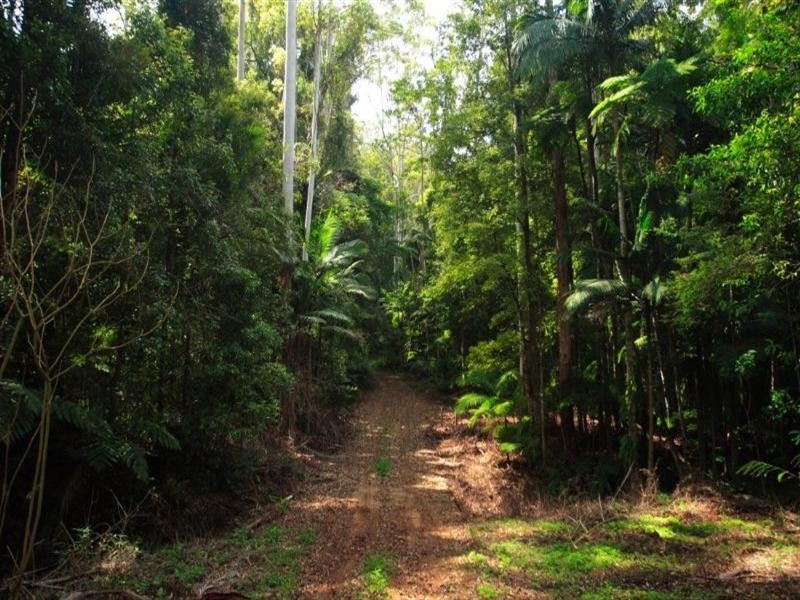 315 Grigor Road, Conondale QLD 4552