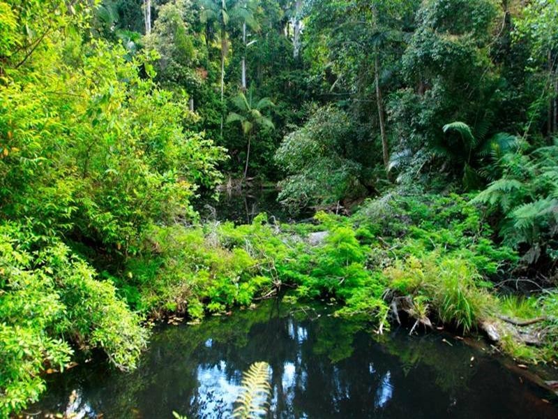 315 Grigor Road, Conondale QLD 4552