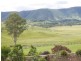 315 Grigor Road, Conondale QLD 4552