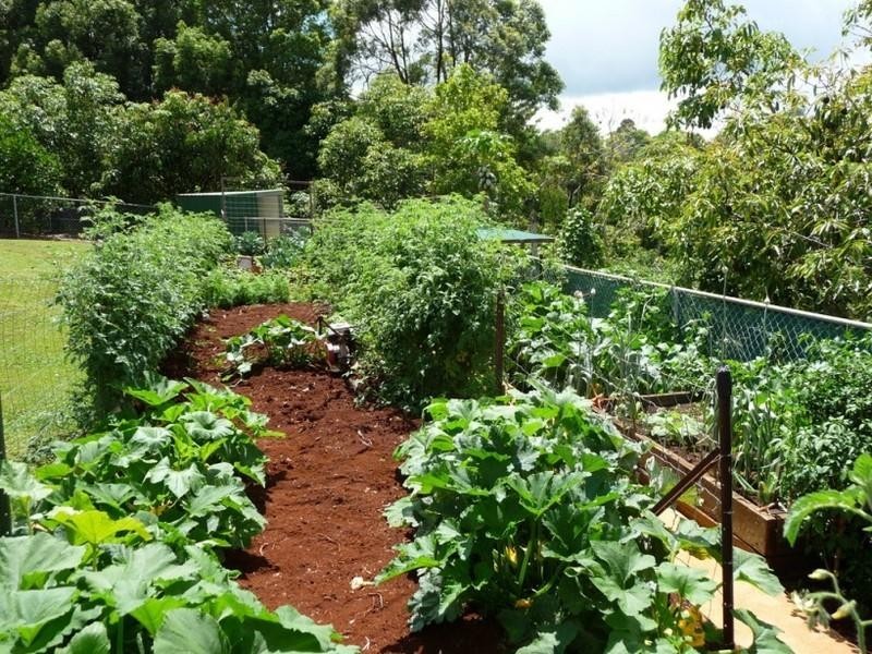 45 Carramar Court, Flaxton QLD 4560