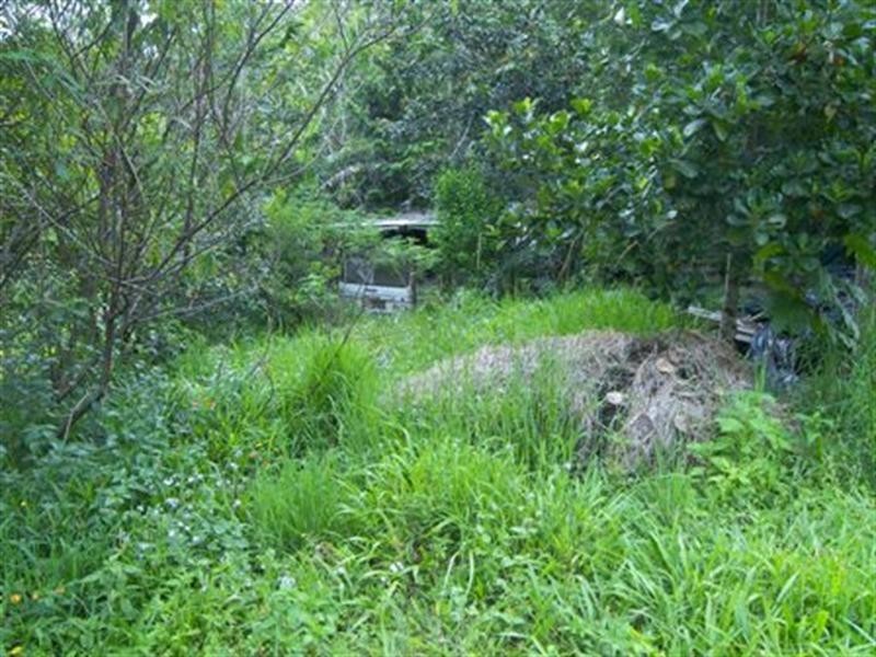 Lot 38 Kilcoy Lane, Conondale QLD 4552