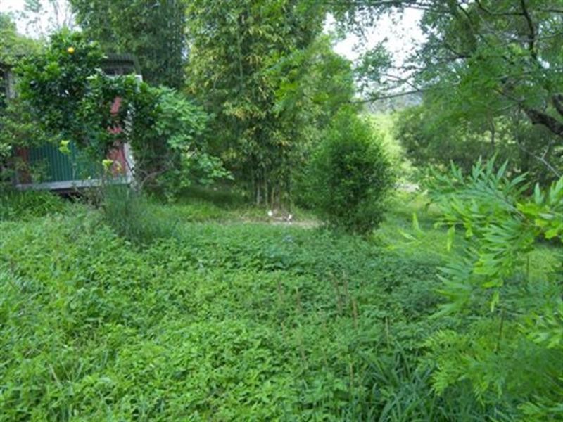 Lot 38 Kilcoy Lane, Conondale QLD 4552