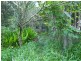 Lot 38 Kilcoy Lane, Conondale QLD 4552