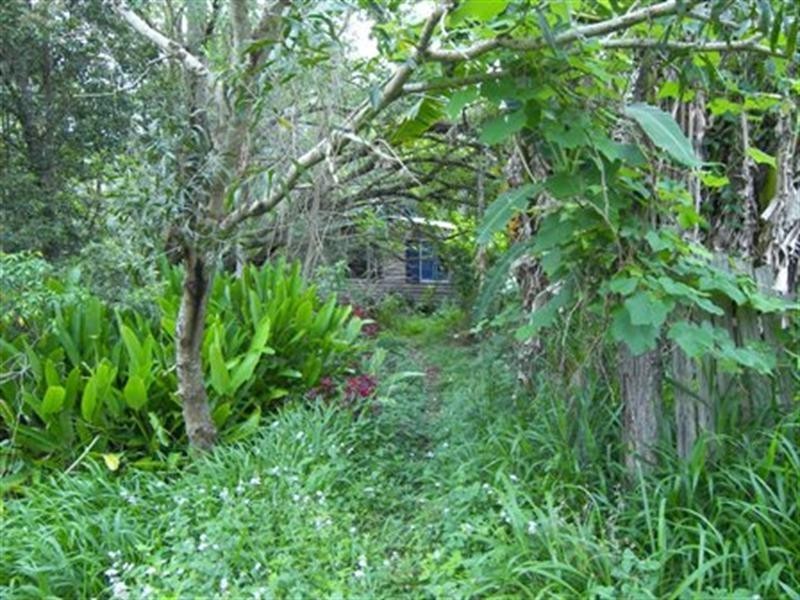 Lot 38 Kilcoy Lane, Conondale QLD 4552