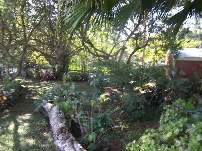 45 Maleny Stanley River Road, Maleny QLD 4552