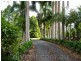 18 Windred Land, Conondale QLD 4552