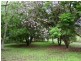 18 Windred Land, Conondale QLD 4552