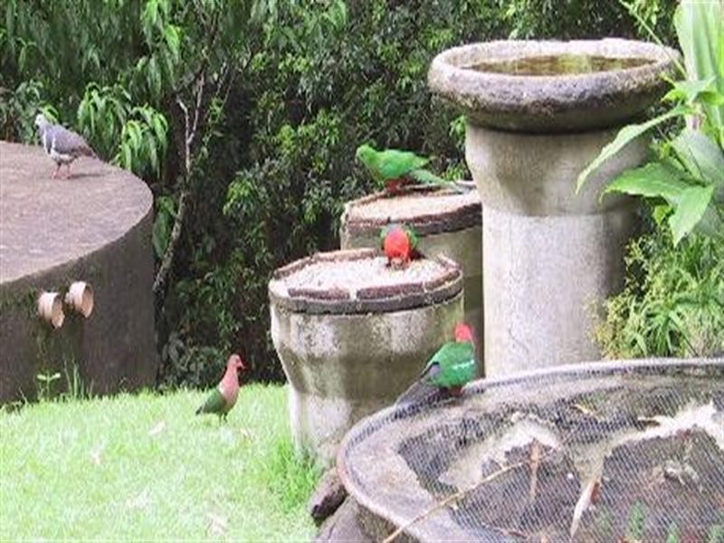 215 Mears Lane, Bellthorpe QLD 4514