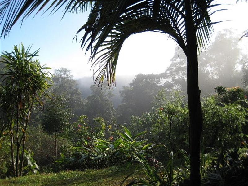 215 Mears Lane, Bellthorpe QLD 4514