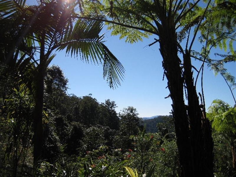 215 Mears Lane, Bellthorpe QLD 4514