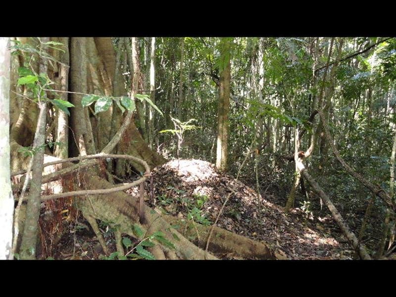 215 Mears Lane, Bellthorpe QLD 4514