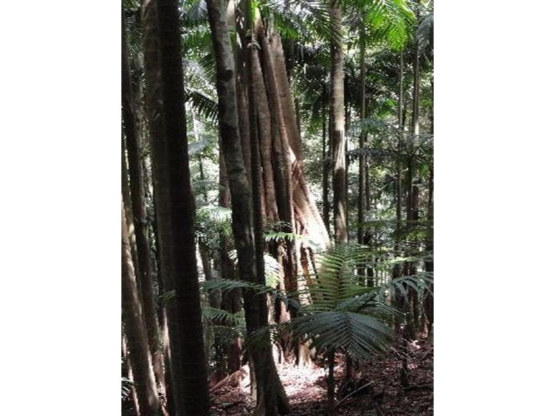 215 Mears Lane, Bellthorpe QLD 4514