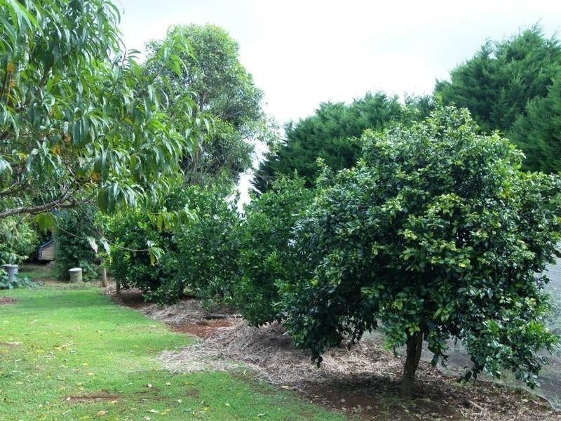 8 Lansdowne Rise, Maleny QLD 4552