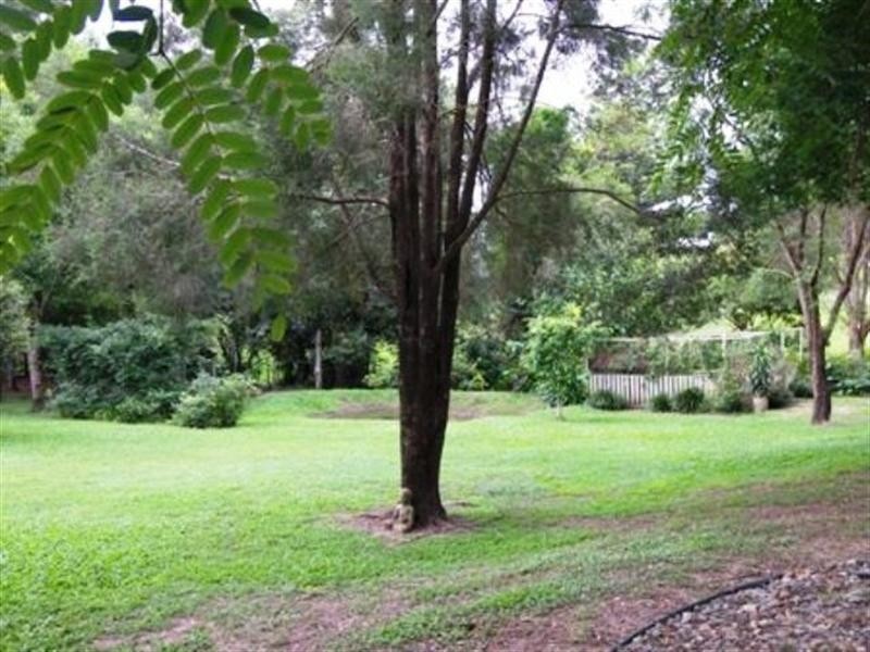 6 Palamino Court, Conondale QLD 4552