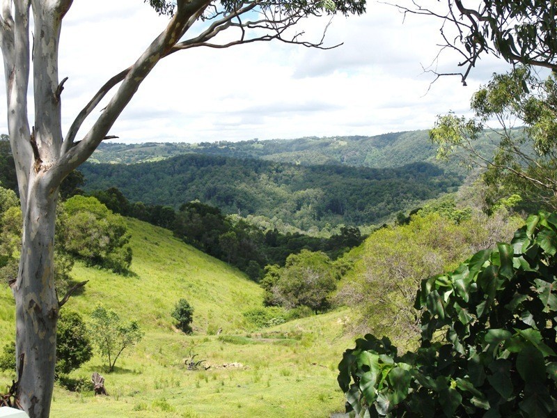 Maleny QLD 4552