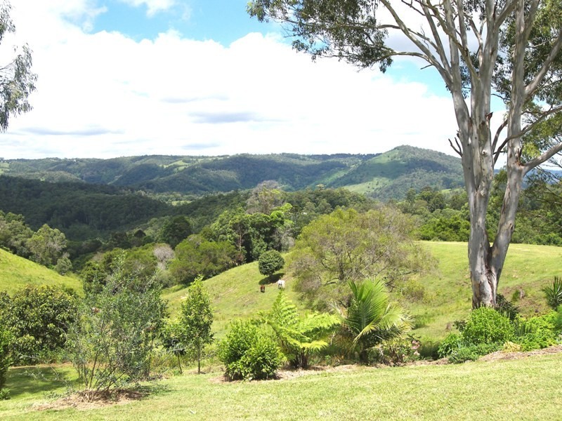 Maleny QLD 4552