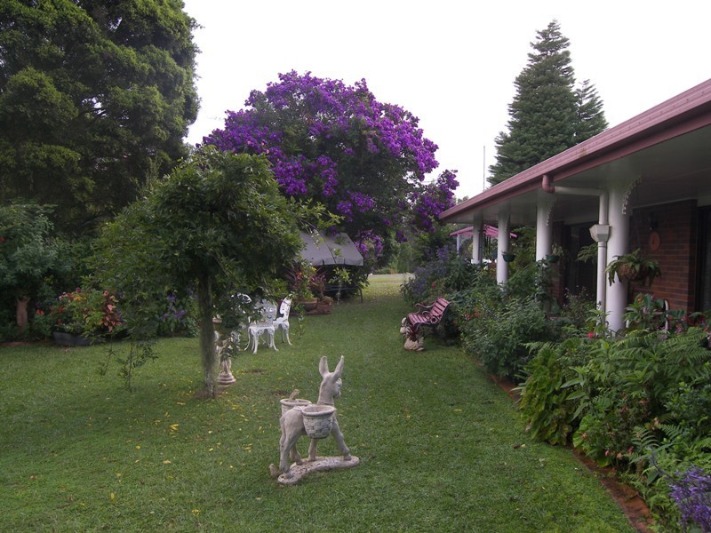 Maleny QLD 4552