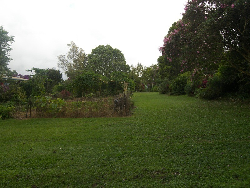 Maleny QLD 4552