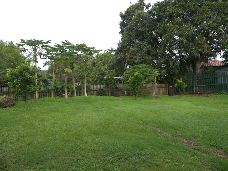 Maleny QLD 4552
