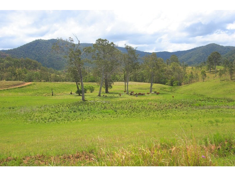 Conondale QLD 4552