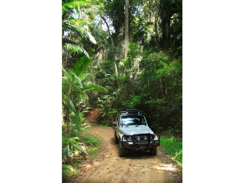 Conondale QLD 4552