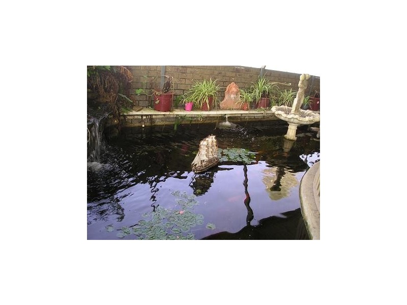 66 Eva Street, Maddington WA 6109