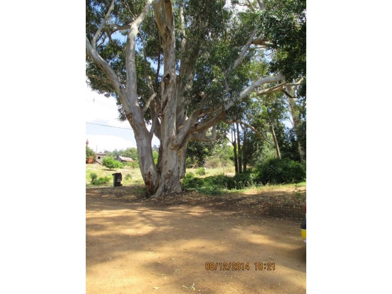 15 Peet Road, Roleystone WA 6111