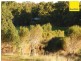 581 Canning Mills Road, Martin WA 6110
