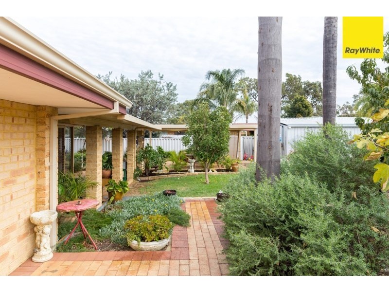 30 Abernethy Grove, Seville Grove WA 6112