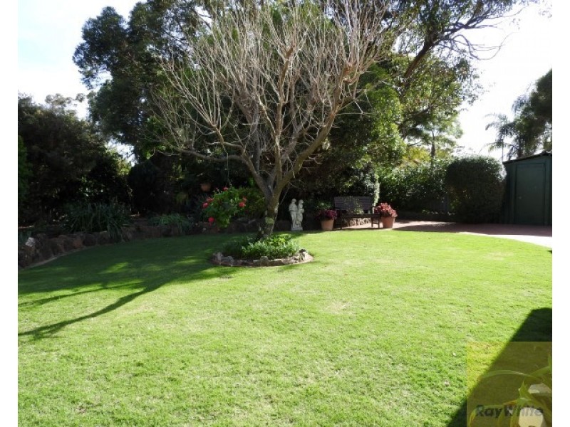 31 Bowden Place, Armadale WA 6112