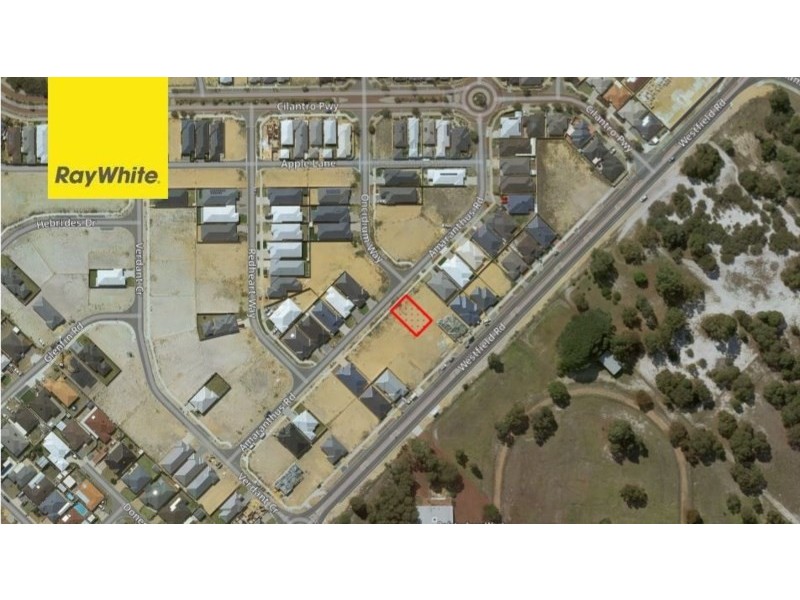 24 Amaranthus Road, Seville Grove WA 6112