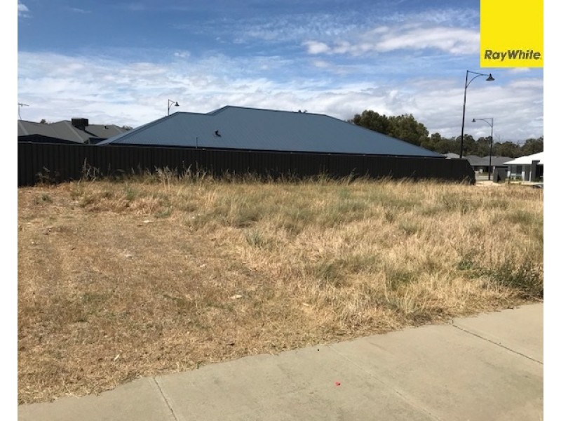 1 Ingarfield Green, Baldivis WA 6171