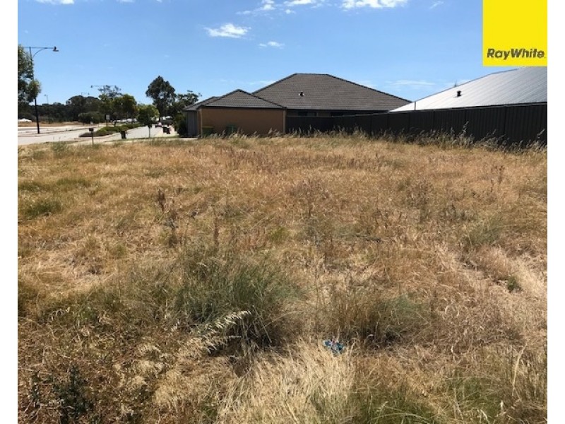 1 Ingarfield Green, Baldivis WA 6171