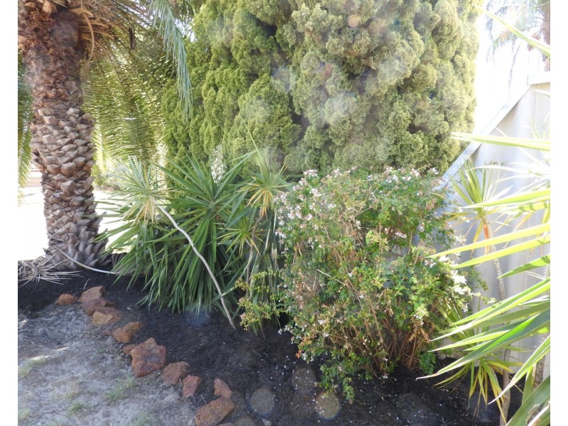 26 Candish Grove, Seville Grove WA 6112